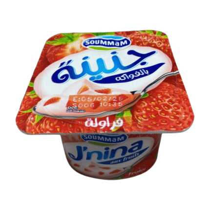 SOUMMAM JNIINA