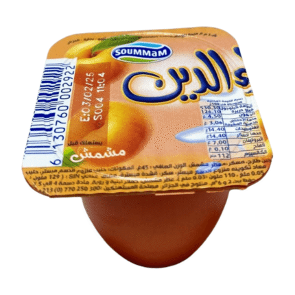 SOUMMAM ALADIN