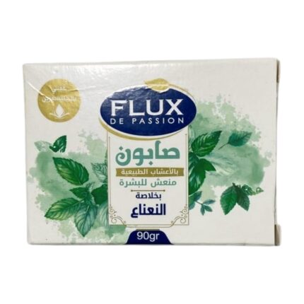FLUX SAVON 90G