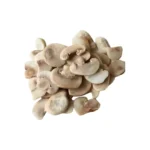 CHAMPIGNON EN TRANCHE