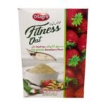 OLLAGRO FITNESS OAT 500G