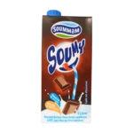 SOUMMAM SOUMY 1L