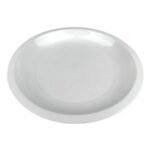 ASSIETTE EN PLASTIQUE X 20